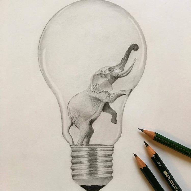 The Elephant and the Light Bulb